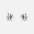 Iced Stud Earrings